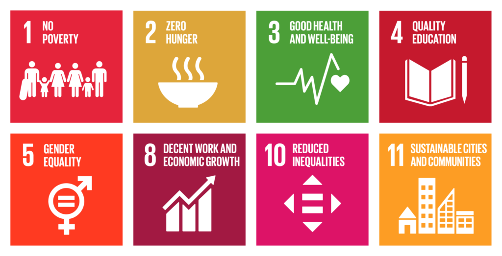 Vision and the SDGs